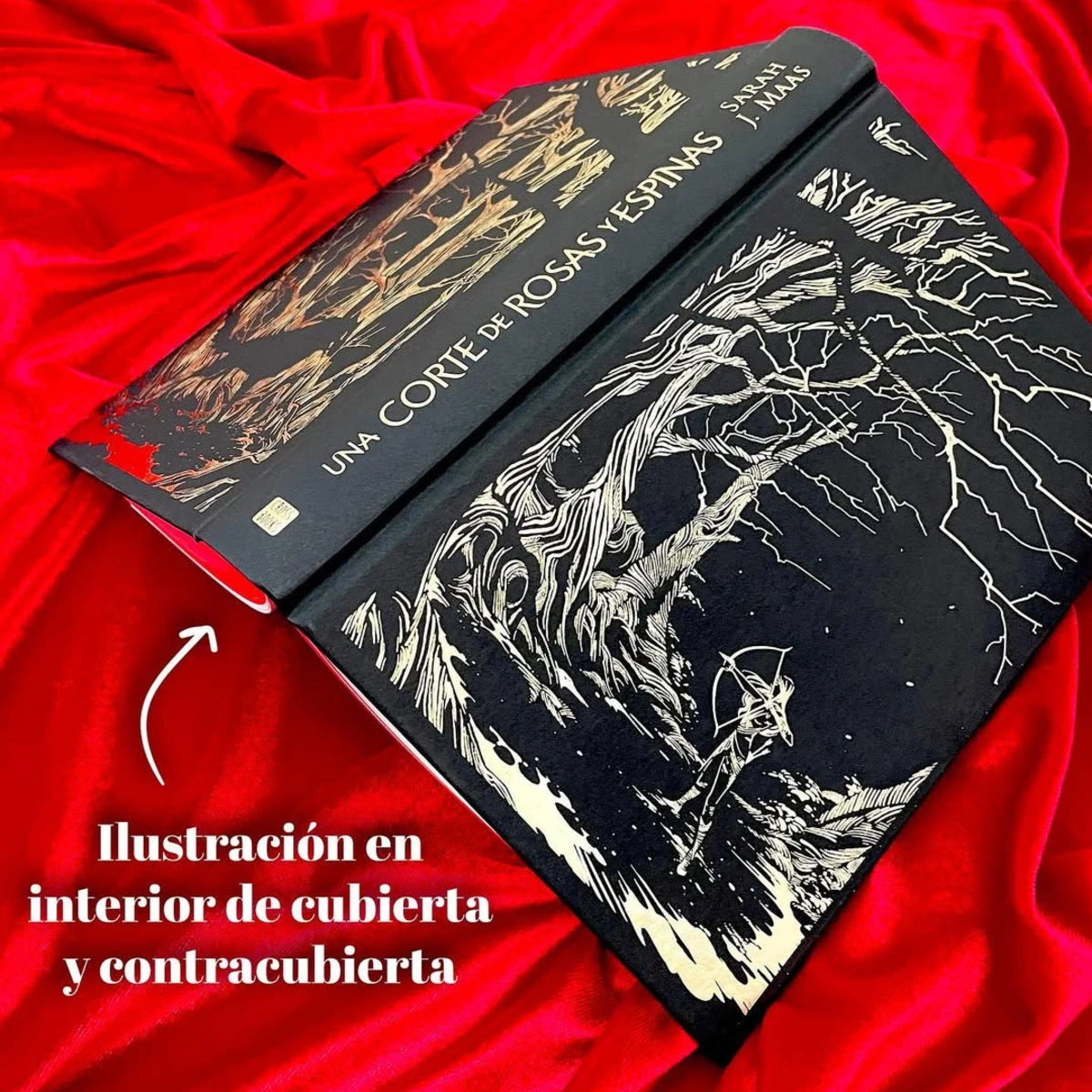 Una Corte de Rosas y Espinas 1. Edición Cantos Pintados