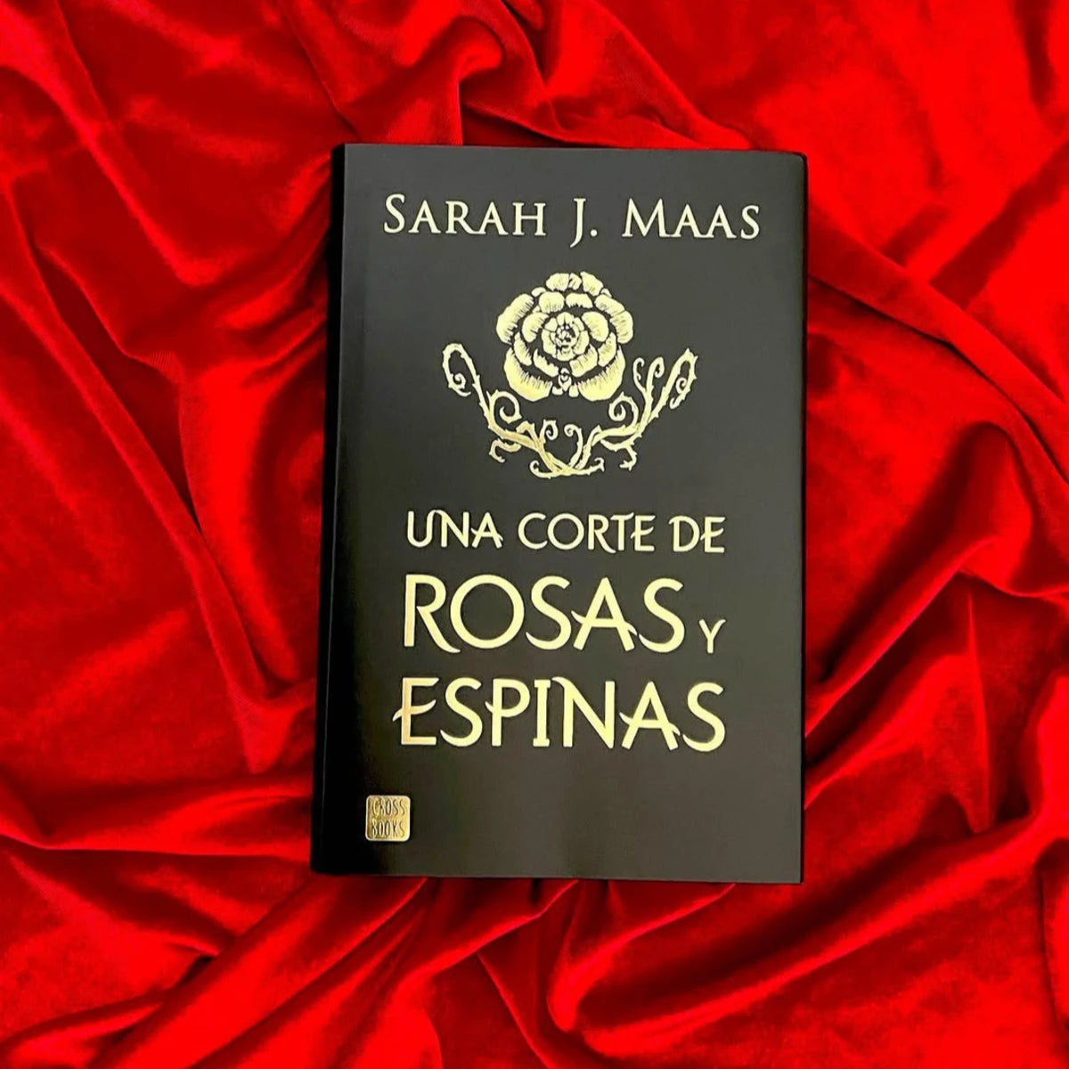 Una Corte de Rosas y Espinas 1. Edición Cantos Pintados